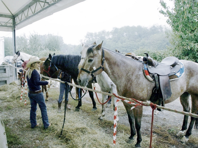 Limbiate, niente fiera animaliPalio, più vincoli che a Siena