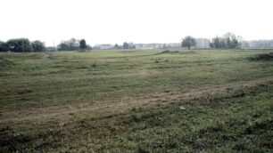 Tutela del verde, la Regionepremia il Comune di Desio