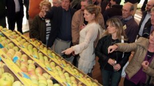 Giornata europea contro AlcatelMobilitazione anche a Vimercate