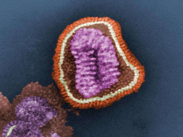 Influenza prevedibileÈ come il meteo