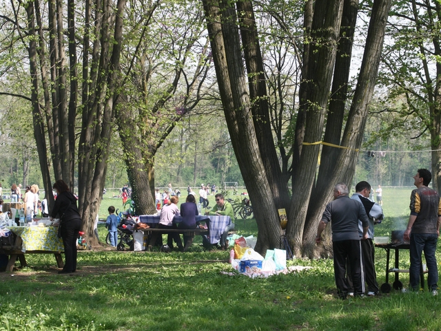 Rifiuti nel parco di Monza:parte la raccolta differenziata
