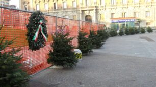 Monza: polemica sugli alberi tagliatiIl Comune nega: «Nessuno scempio»