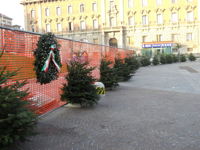 Monza: polemica sugli alberi tagliatiIl Comune nega: «Nessuno scempio»