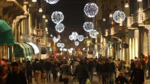 Splendono le luci cinesisugli alberi di Natale