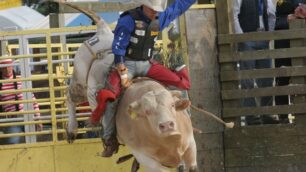 Cowboy molestatore a CaponagoAssedio alle donne nei parchetti