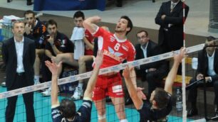 Volley, Cuneo sul velluto a MonzaQuinto stop per l’Acqua Paradiso