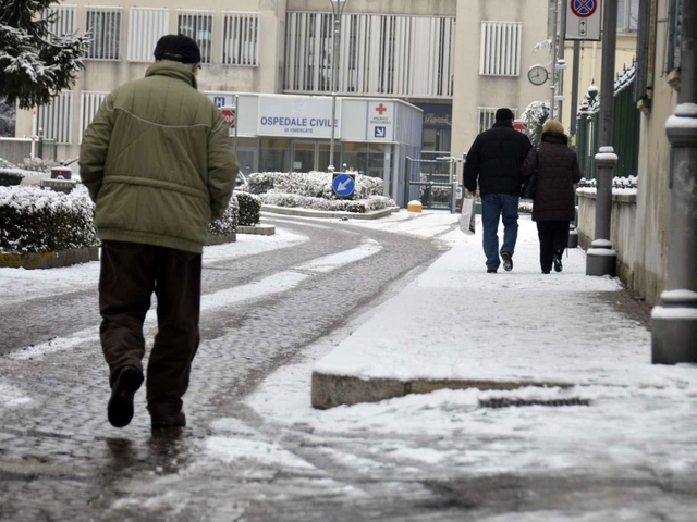 «Bernareggio faccia spazio al Plis»La proposta verde del comitato