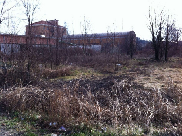 «Un segnale forte dopo lo stupro»Brugherio parte civile in tribunale