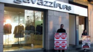 Seregno, zanzarata animalistaNel mirino i negozi di pellicce