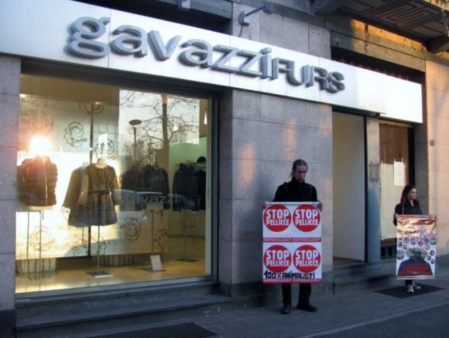 Seregno, zanzarata animalistaNel mirino i negozi di pellicce