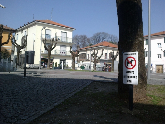 Misinto, divieto d’accesso ai caninella piazza centrale del paese