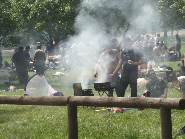 ”Basta grigliate nel parco”A Monza rischia il barbecue