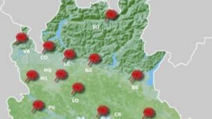 Ma che aria tira per gli allergici?Ve lo dice il meteo dei pollini