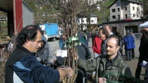 A Moio de’ Calviè tempo di mele