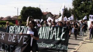 Mistero sul destino dei macachiUna nuova protesta alla Harlan