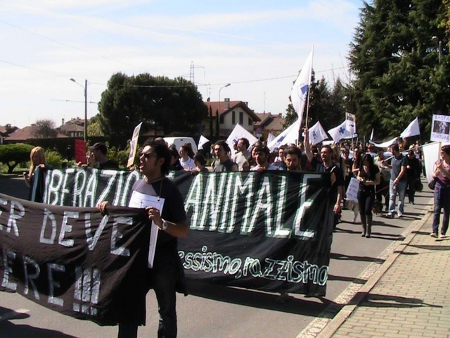 Mistero sul destino dei macachiUna nuova protesta alla Harlan