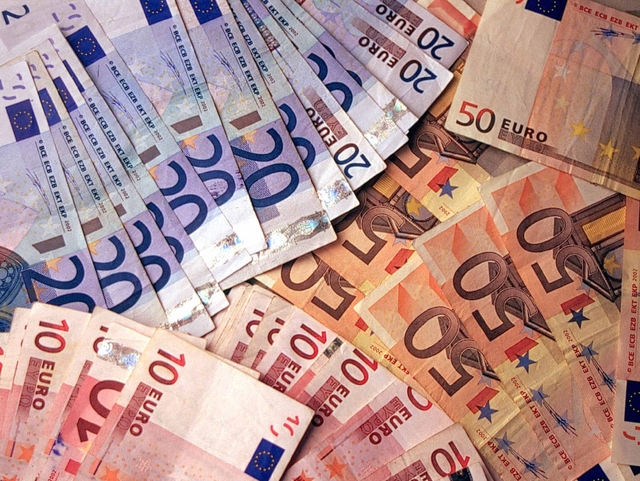 Euro soldi redditi