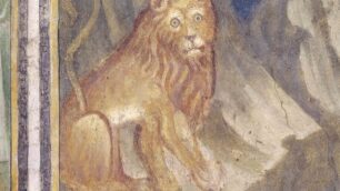 Settimana della cultura in BrianzaIl patrimonio si mette in mostra
