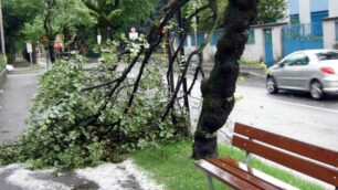 Meteo, grandine e forte ventoCaldo, illusione: ponte piovoso