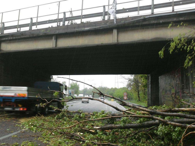 Varedo, albero sulla Milano-MedaNessun ferito ma traffico in tilt