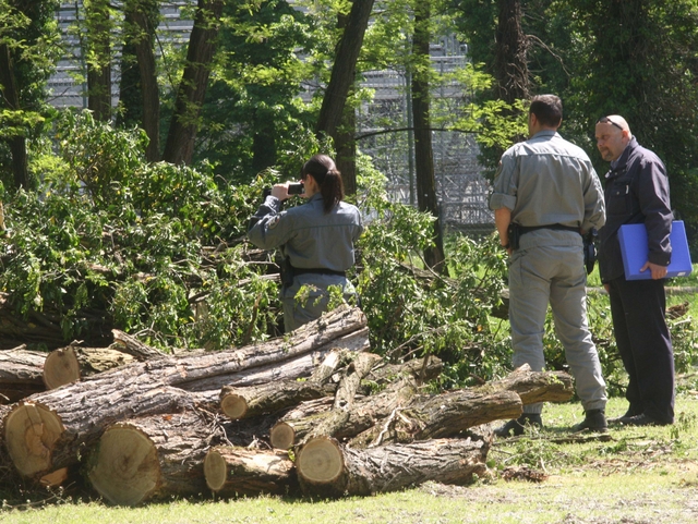 Monza: colpo di scenaSì al distributore nel parco