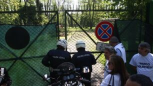 Monza: giù i primi alberiper il distributore del parco