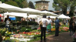 Floreka a Gorletra petali e parole