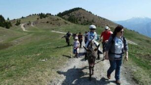 Sui monti con l’asinoTrekking in V. Gandino