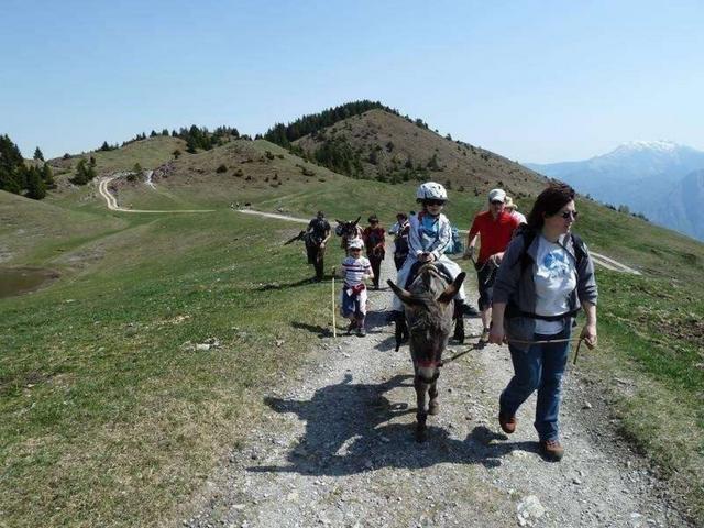 Sui monti con l’asinoTrekking in V. Gandino