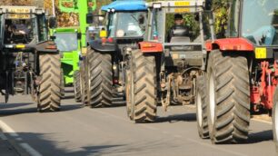 Operai agricoli e florovivaistiSolo la Cisl firma il contratto
