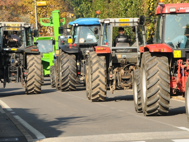 Operai agricoli e florovivaistiSolo la Cisl firma il contratto