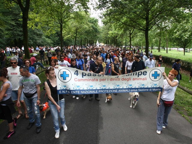 Monza, animali in festa con l’EnpaBenedizione e concorso a premi