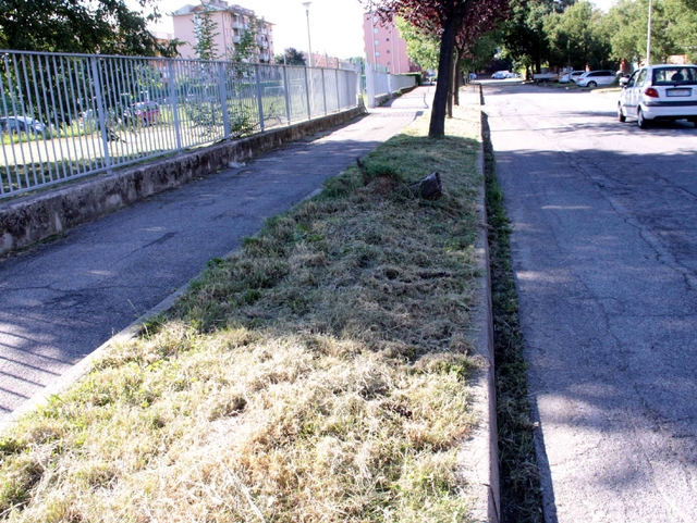 Muggiò: aree verdi degradate<Ditta appaltatrire da cacciare>