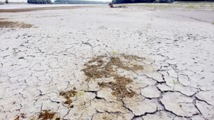 Il caldo che soffoca l’agricolturaColdiretti: Nerone, colpo di grazia