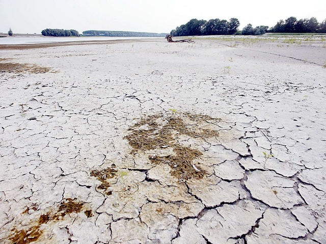 Il caldo che soffoca l’agricolturaColdiretti: Nerone, colpo di grazia