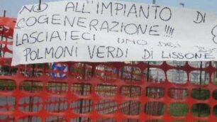 Il cogeneratore abbatte gli alberiProteste dei residenti a Lissone