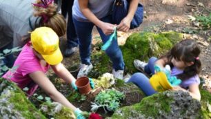 I disoccupati dal pollice verdeSi occuperanno del parco di Desio