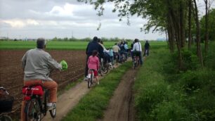 Ladri di biciclette nel VimercateseC’è un furgone che se le porta via