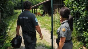 Lentate, cimitero di cani e gattiscoperto in un ex allevamento