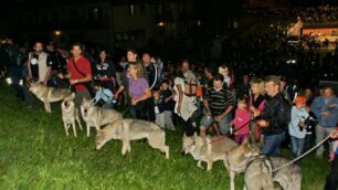 Appuntamenti di sabato 21 luglioPasseggiata con i lupi a Selvino
