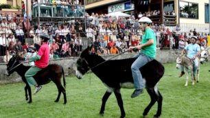 Renate, addio alla corsa degli asiniIl Palio soffocato dalla burocrazia