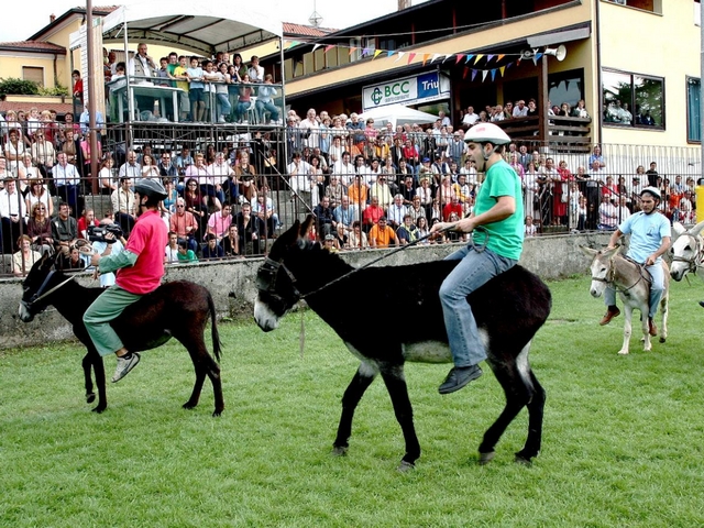 Renate, addio alla corsa degli asiniIl Palio soffocato dalla burocrazia