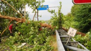 Briosco: albero cade su furgoneche viene tamponato da un’auto