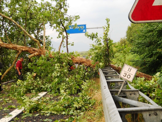 Briosco: albero cade su furgoneche viene tamponato da un’auto