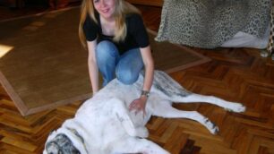 Meticcio divorato dalle zecche

Salvato grazie a una trasfusione
