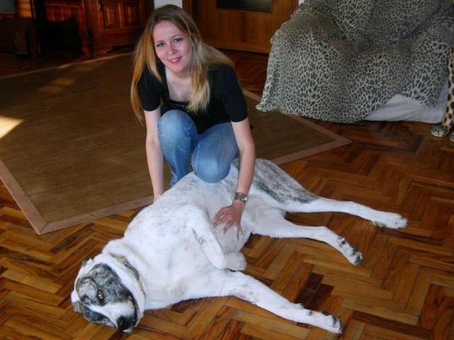 Meticcio divorato dalle zecche
Salvato grazie a una trasfusione