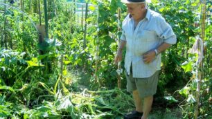 Seregno, vandali alla PoradaDanneggiati orti e parco