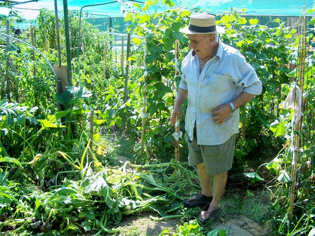 Seregno, vandali alla PoradaDanneggiati orti e parco