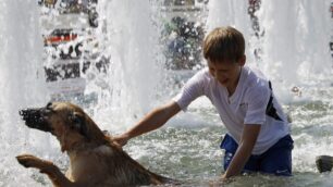 Il Dragone africano in BrianzaIl caldo arriverà fino ai 35 gradi