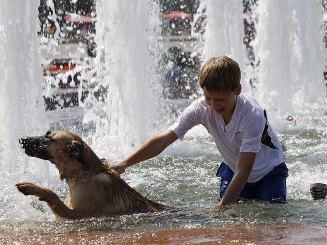 Il Dragone africano in BrianzaIl caldo arriverà fino ai 35 gradi